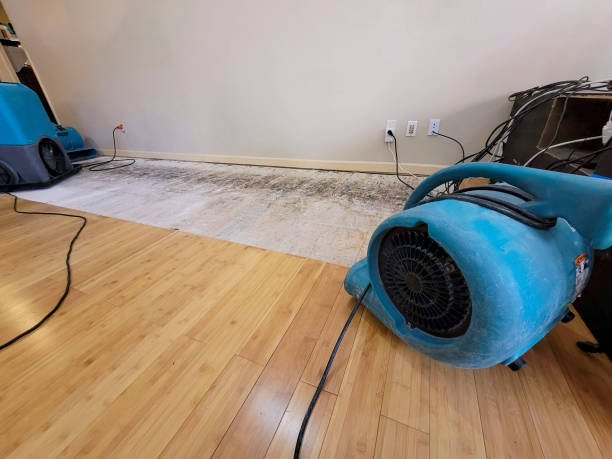 Professional Water Removal technician working in Exeter, CA
